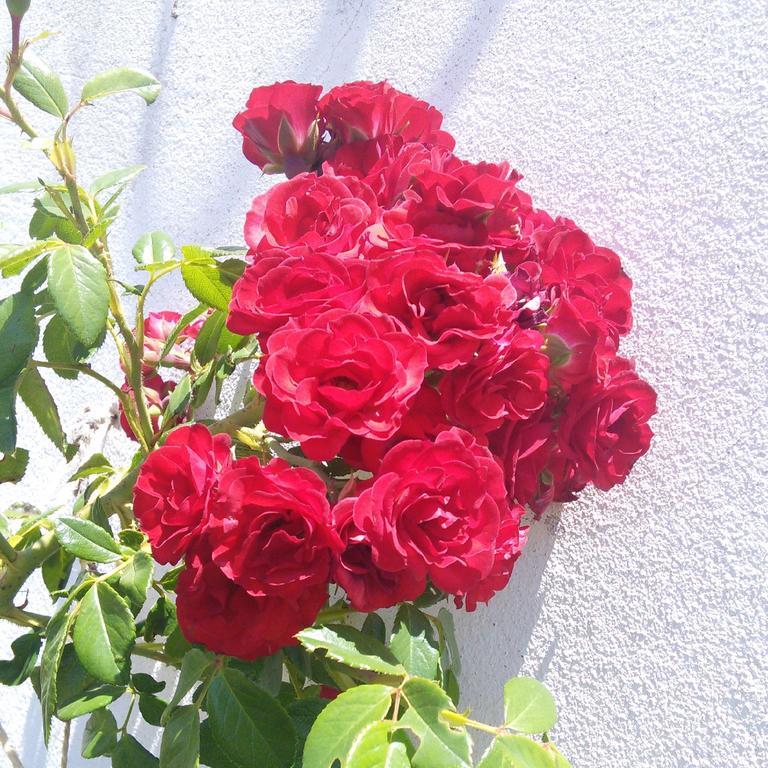 Herdade Do Azinhal 산타클라라-아-벨하 외부 사진